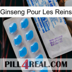 Ginseng For Kidney new15